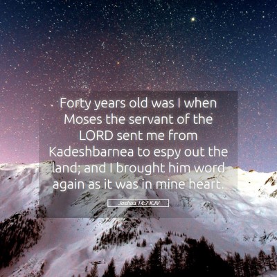 Picture 05 - Joshua 14:7 KJV - Forty years old was I when Moses the servant of - Bible Verse Picture