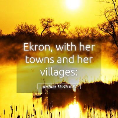 Picture 05 - Joshua 15:45 KJV - Ekron, with her towns and her - Bible Verse Picture