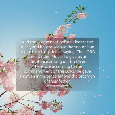 Picture 05 - Joshua 17:4 KJV - And they came near before Eleazar the priest, and - Bible Verse Picture