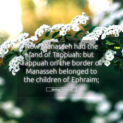 Picture 05 - Joshua 17:8 KJV - Now Manasseh had the land of Tappuah: but Tappuah - Bible Verse Picture