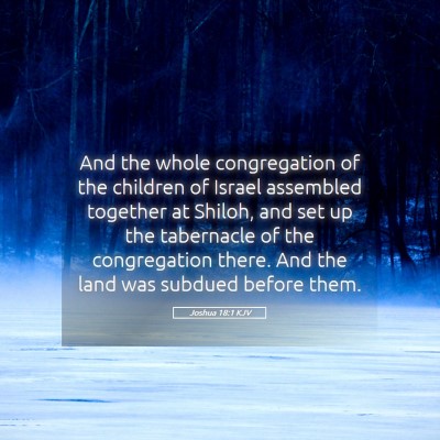 Picture 05 - Joshua 18:1 KJV - And the whole congregation of the children of - Bible Verse Picture
