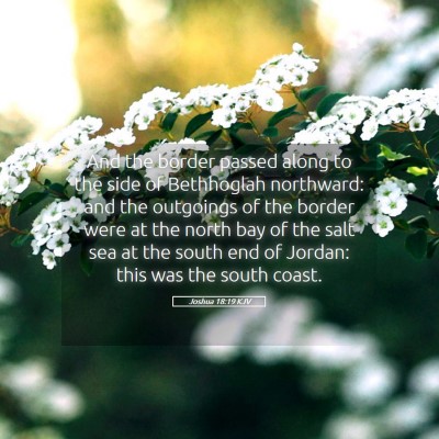 Picture 05 - Joshua 18:19 KJV - And the border passed along to the side of - Bible Verse Picture