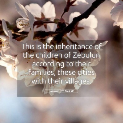 Picture 05 - Joshua 19:16 KJV - This is the inheritance of the children of - Bible Verse Picture