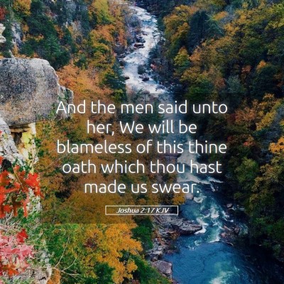 Picture 05 - Joshua 2:17 KJV - And the men said unto her, We will be blameless - Bible Verse Picture