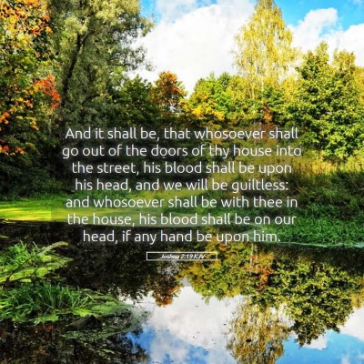 Picture 05 - Joshua 2:19 KJV - And it shall be, that whosoever shall go out of - Bible Verse Picture