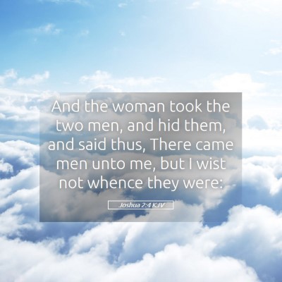 Picture 05 - Joshua 2:4 KJV - And the woman took the two men, and hid them, and - Bible Verse Picture