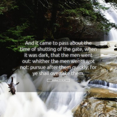Picture 05 - Joshua 2:5 KJV - And it came to pass about the time of shutting of - Bible Verse Picture