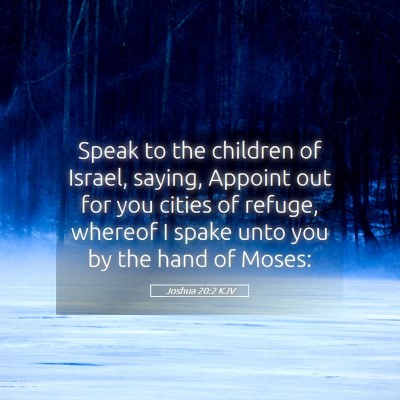 Picture 05 - Joshua 20:2 KJV - Speak to the children of Israel, saying, Appoint - Bible Verse Picture