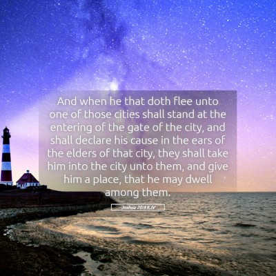 Picture 05 - Joshua 20:4 KJV - And when he that doth flee unto one of those - Bible Verse Picture
