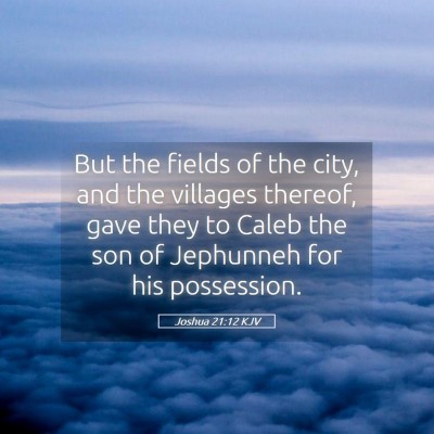 Picture 05 - Joshua 21:12 KJV - But the fields of the city, and the villages - Bible Verse Picture