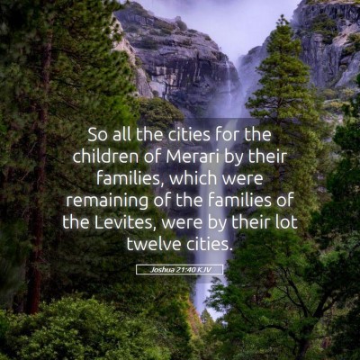 Picture 05 - Joshua 21:40 KJV - So all the cities for the children of Merari by - Bible Verse Picture