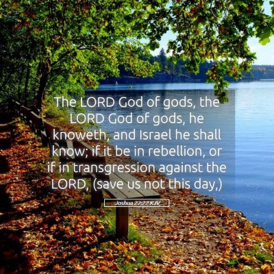 Picture 05 - Joshua 22:22 KJV - The LORD God of gods, the LORD God of gods, he - Bible Verse Picture