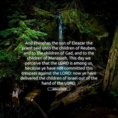 Picture 05 - Joshua 22:31 KJV - And Phinehas the son of Eleazar the priest said - Bible Verse Picture