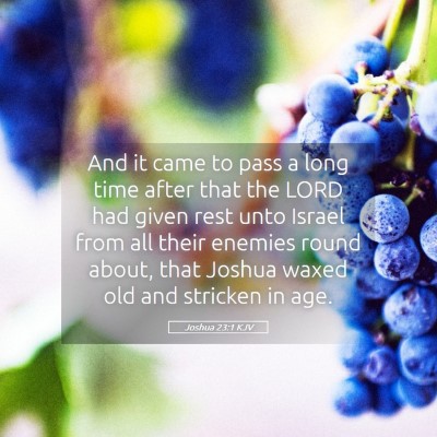 Picture 05 - Joshua 23:1 KJV - And it came to pass a long time after that the - Bible Verse Picture