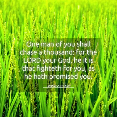 Picture 05 - Joshua 23:10 KJV - One man of you shall chase a thousand: for the - Bible Verse Picture