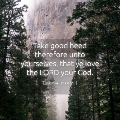 Picture 05 - Joshua 23:11 KJV - Take good heed therefore unto yourselves, that ye - Bible Verse Picture