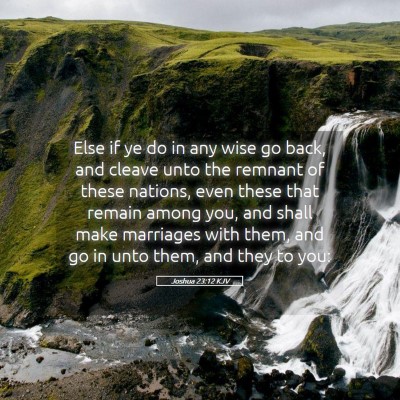 Picture 05 - Joshua 23:12 KJV - Else if ye do in any wise go back, and cleave - Bible Verse Picture