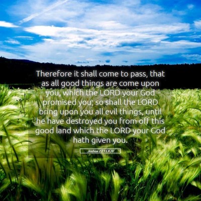 Picture 05 - Joshua 23:15 KJV - Therefore it shall come to pass, that as all good - Bible Verse Picture