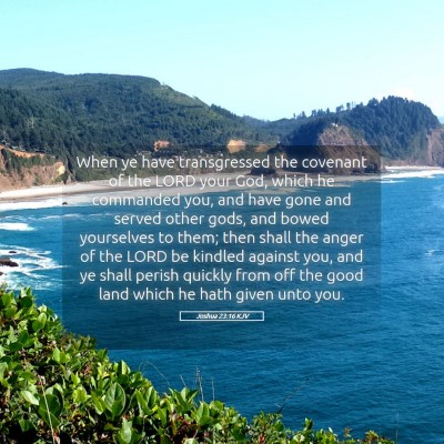 Picture 05 - Joshua 23:16 KJV - When ye have transgressed the covenant of the - Bible Verse Picture