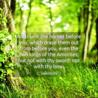Picture 05 - Joshua 24:12 KJV - And I sent the hornet before you, which drave - Bible Verse Picture
