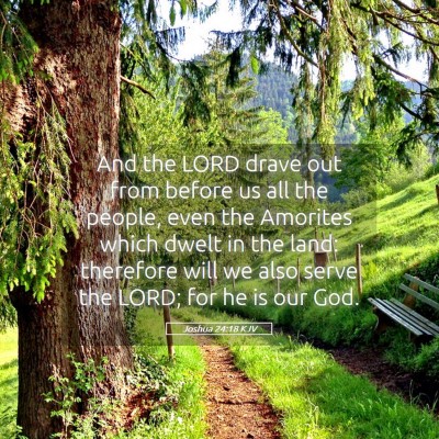 Picture 05 - Joshua 24:18 KJV - And the LORD drave out from before us all the - Bible Verse Picture