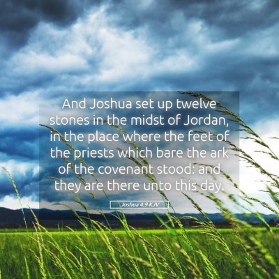 Picture 05 - Joshua 4:9 KJV - And Joshua set up twelve stones in the midst of - Bible Verse Picture