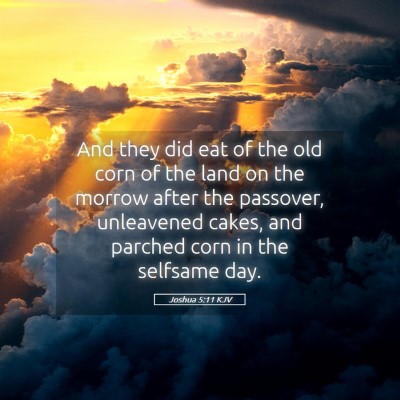 Picture 05 - Joshua 5:11 KJV - And they did eat of the old corn of the land on - Bible Verse Picture