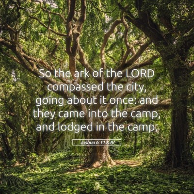 Picture 05 - Joshua 6:11 KJV - So the ark of the LORD compassed the city, going - Bible Verse Picture