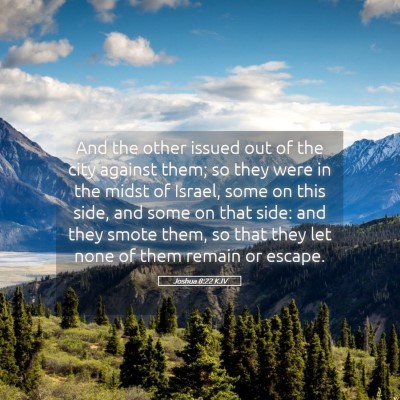 Picture 05 - Joshua 8:22 KJV - And the other issued out of the city against - Bible Verse Picture