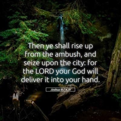 Picture 05 - Joshua 8:7 KJV - Then ye shall rise up from the ambush, and seize - Bible Verse Picture