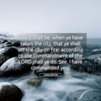 Picture 05 - Joshua 8:8 KJV - And it shall be, when ye have taken the city, - Bible Verse Picture