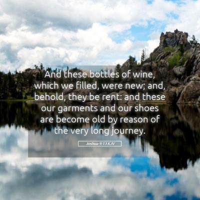 Picture 05 - Joshua 9:13 KJV - And these bottles of wine, which we filled, were - Bible Verse Picture