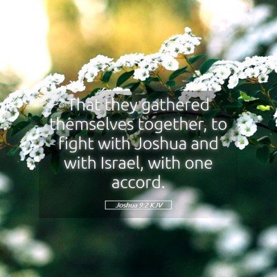 Picture 05 - Joshua 9:2 KJV - That they gathered themselves together, to fight - Bible Verse Picture