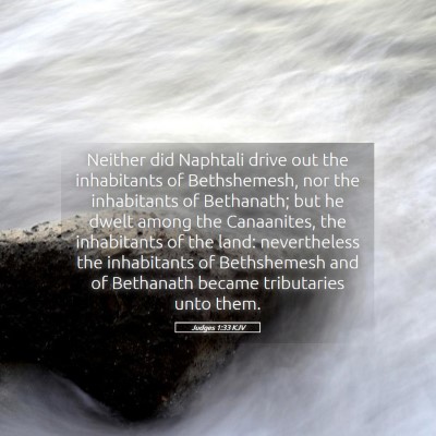 Picture 05 - Judges 1:33 KJV - Neither did Naphtali drive out the inhabitants of - Bible Verse Picture