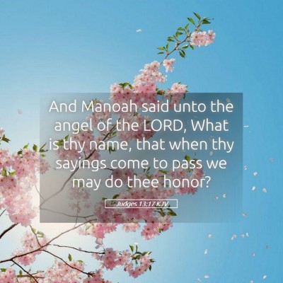 Picture 05 - Judges 13:17 KJV - And Manoah said unto the angel of the LORD, What - Bible Verse Picture