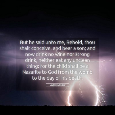 Picture 05 - Judges 13:7 KJV - But he said unto me, Behold, thou shalt conceive, - Bible Verse Picture
