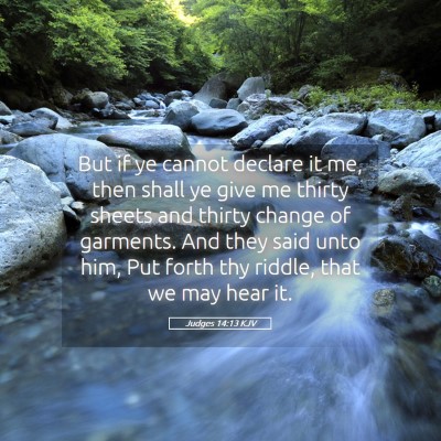Picture 05 - Judges 14:13 KJV - But if ye cannot declare it me, then shall ye - Bible Verse Picture