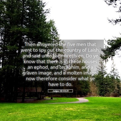 Picture 05 - Judges 18:14 KJV - Then answered the five men that went to spy out - Bible Verse Picture