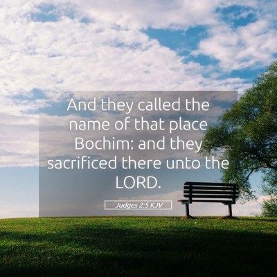 Picture 05 - Judges 2:5 KJV - And they called the name of that place Bochim: - Bible Verse Picture