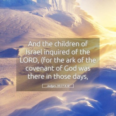 Picture 05 - Judges 20:27 KJV - And the children of Israel inquired of the LORD, - Bible Verse Picture