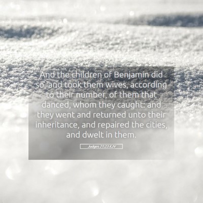 Picture 05 - Judges 21:23 KJV - And the children of Benjamin did so, and took - Bible Verse Picture