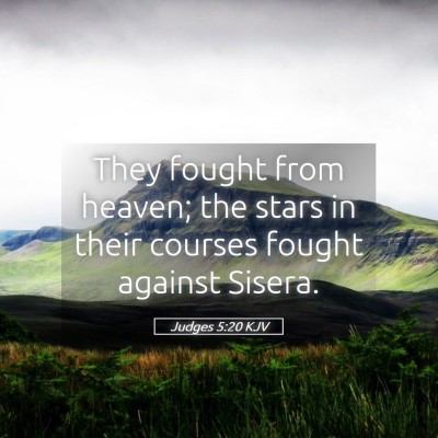 Picture 05 - Judges 5:20 KJV - They fought from heaven; the stars in their - Bible Verse Picture