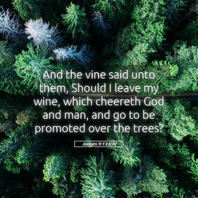 Picture 05 - Judges 9:13 KJV - And the vine said unto them, Should I leave my - Bible Verse Picture