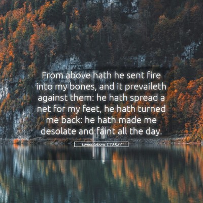 Picture 05 - Lamentations 1:13 KJV - From above hath he sent fire into my bones, and - Bible Verse Picture