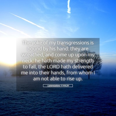 Picture 05 - Lamentations 1:14 KJV - The yoke of my transgressions is bound by his - Bible Verse Picture
