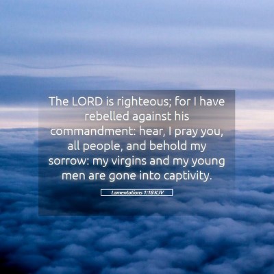 Picture 05 - Lamentations 1:18 KJV - The LORD is righteous; for I have rebelled - Bible Verse Picture