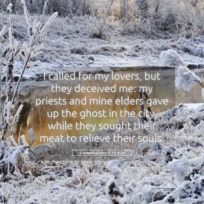 Picture 05 - Lamentations 1:19 KJV - I called for my lovers, but they deceived me: my - Bible Verse Picture