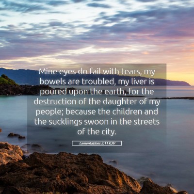Picture 05 - Lamentations 2:11 KJV - Mine eyes do fail with tears, my bowels are - Bible Verse Picture