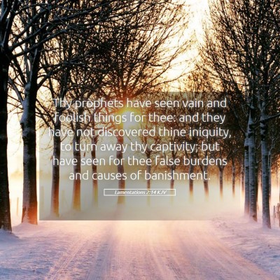 Picture 05 - Lamentations 2:14 KJV - Thy prophets have seen vain and foolish things - Bible Verse Picture