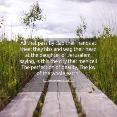Picture 05 - Lamentations 2:15 KJV - All that pass by clap their hands at thee; they - Bible Verse Picture